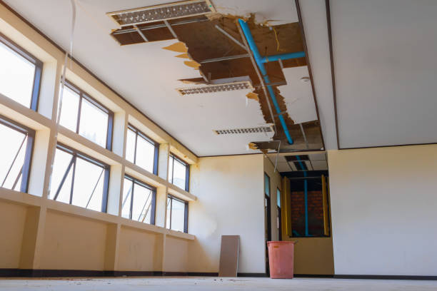 Best Residential water damage restoration  in Fillmore, UT