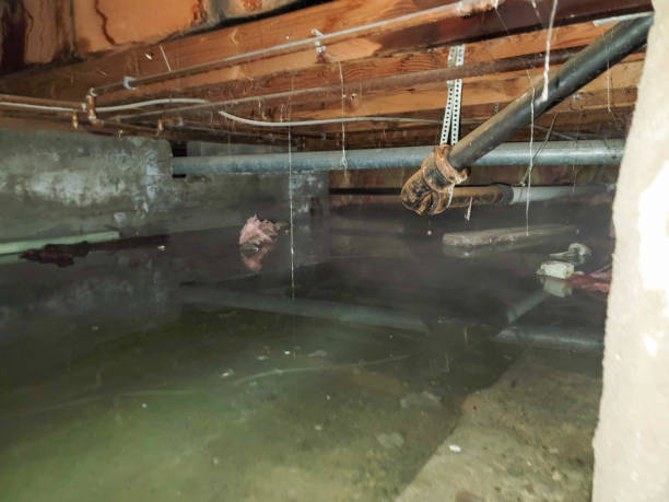 Best Ceiling water damage repair  in Fillmore, UT