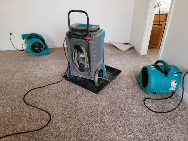 Sewage cleanup and water damage restoration in Fillmore, UT