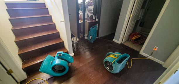 Best Water damage cleanup near me  in Fillmore, UT