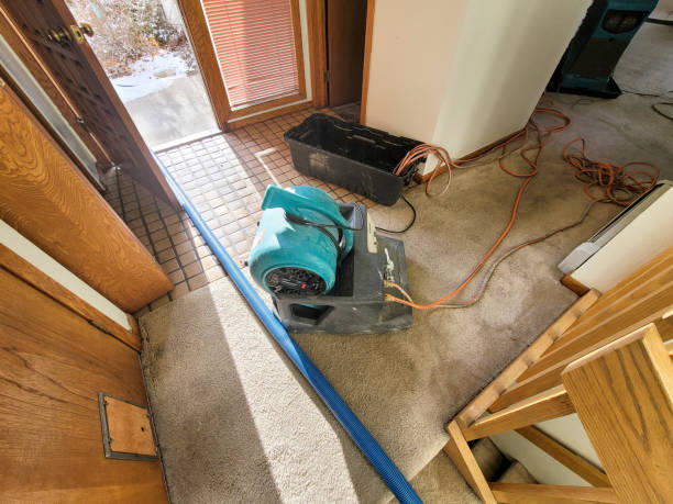  Fillmore, UT Water damage restoration Pros