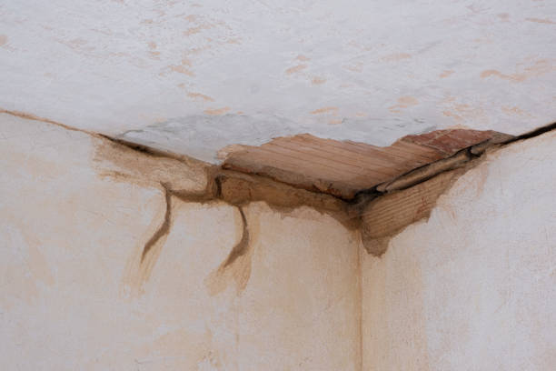 Best Commercial water damage restoration  in Fillmore, UT