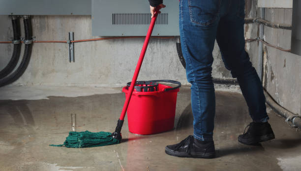 Best Water damage restoration specialists  in Fillmore, UT