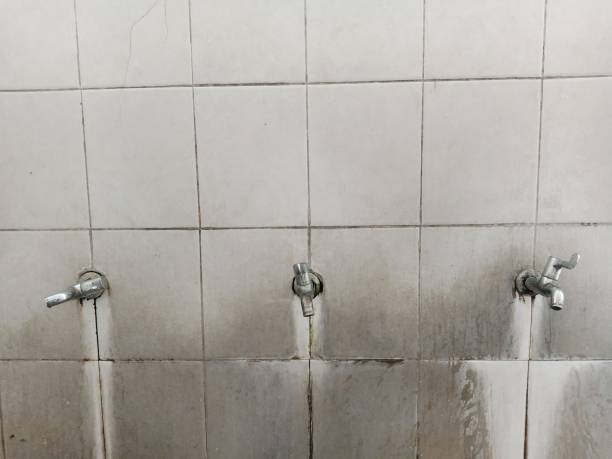 Best Flood restoration services  in Fillmore, UT