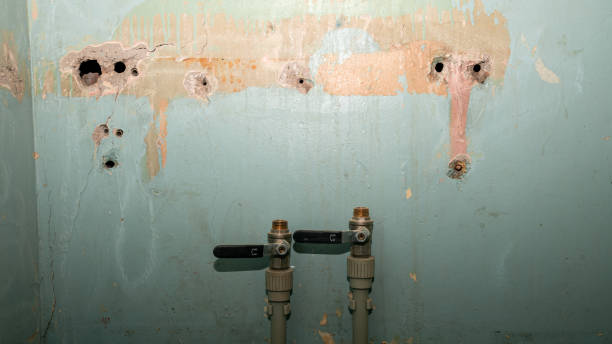 Best Sewage cleanup and water damage restoration  in Fillmore, UT