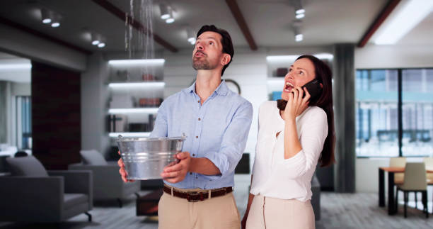 Best Flooded house restoration  in Fillmore, UT
