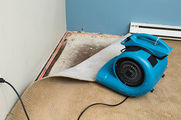 Best Water damage restoration near me  in Fillmore, UT